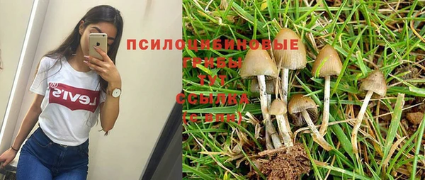 мяу мяу мука Гусиноозёрск