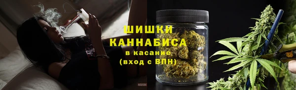 мяу мяу мука Гусиноозёрск