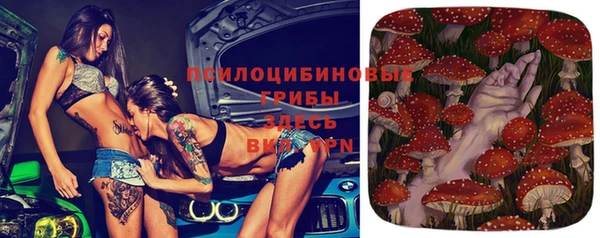 мяу мяу мука Гусиноозёрск