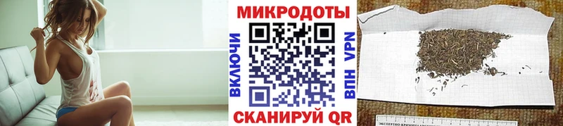 Галлюциногенные грибы Cubensis закладка Енисейск